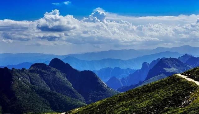 【情形；；；；；；ぁで亓胛ソā壳亓胛ソū鹗:总书记扭住不放才得以彻底整治